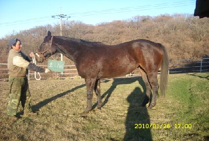 ���Ϻ� ����