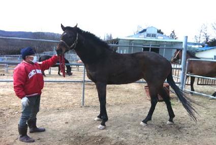 �Ѷ�ź� ����