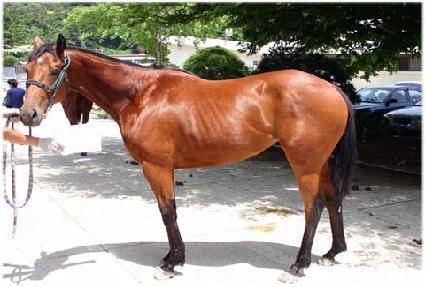 ������Żȯ ����