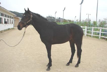 ����屺 ����