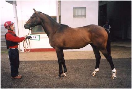 ��ġ ����