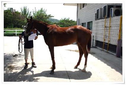 ȯȣ�Ҹ� ����