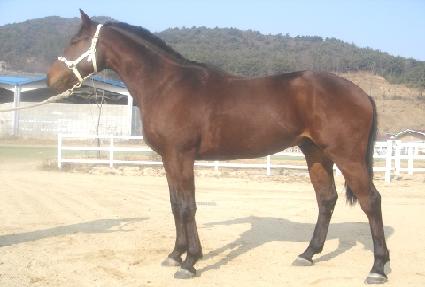 û�ɴ� ����