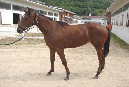 ������� ����