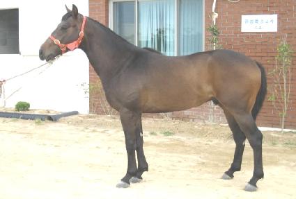 ����Ű�� ����