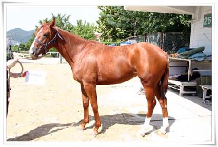 õ��Ư�� ����