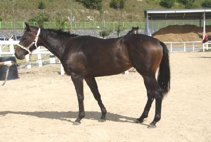 Ȳ������ ����