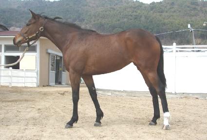 �������� ����