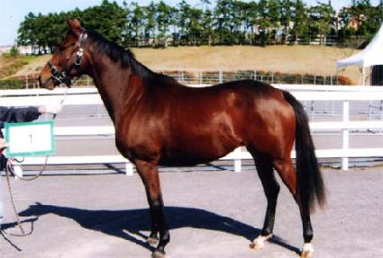 �ռ��� ����