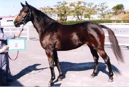 ��õ���� ����