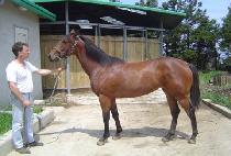 �¸��̼� (SEUNGNIMISO) ����