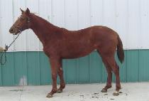 ���Ͽ� (MAHAYEON) ����