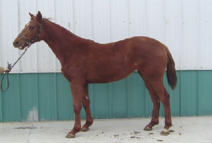 ���Ͽ� ����