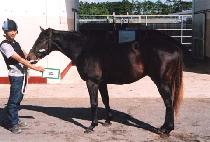 EASY COMPANY picture