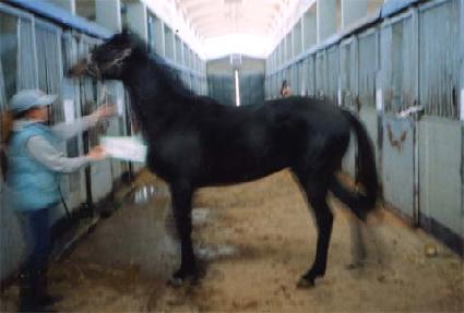 ���ֵ帲 ����