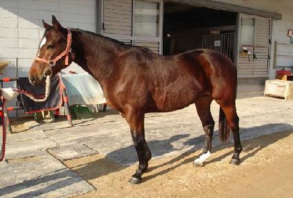 Ȳ����� ����