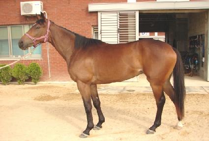 �Ѱ����� ����