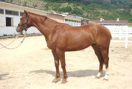 ������ũ ����