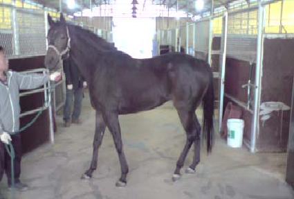 �����Ŀ� ����