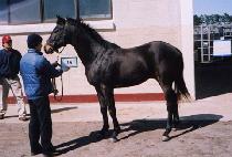 �����Ǻ� (JEONSEORUIBIT) ����