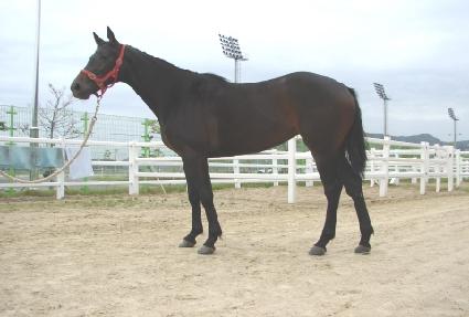 ������ī�� ����