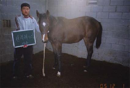 ������ ����