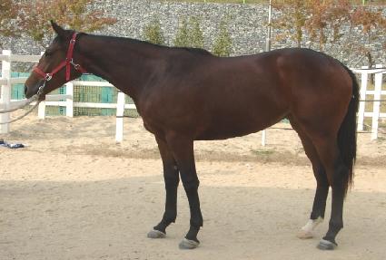 ������ ����