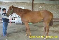 ���ذ��� (YUKHAEGONGGUN) ����