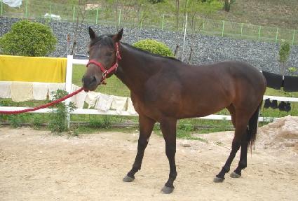 ȭ���ѹ��� ����