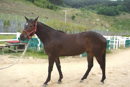 �������� ����