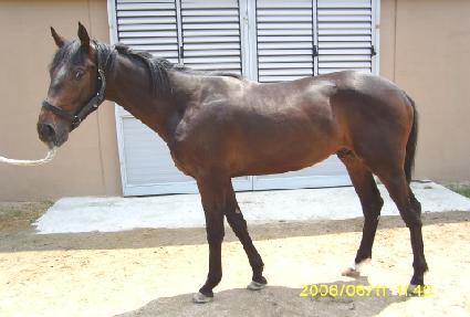 ���â�� ����