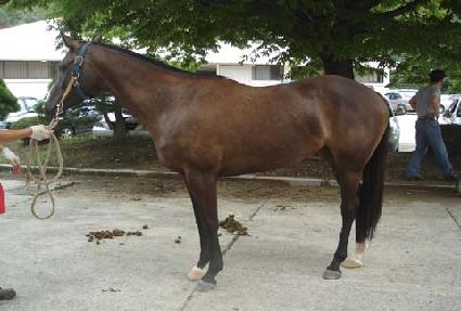 �����Ѻ� ����