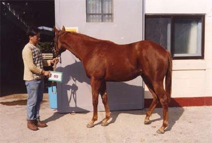 �����õ��� ����