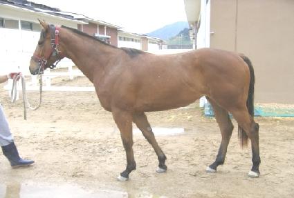 ������ũ ����