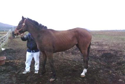 �̷�õ�� ����