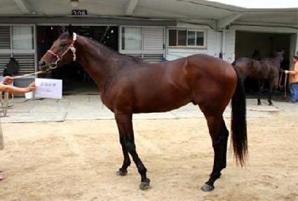 ���尭ȣ ����