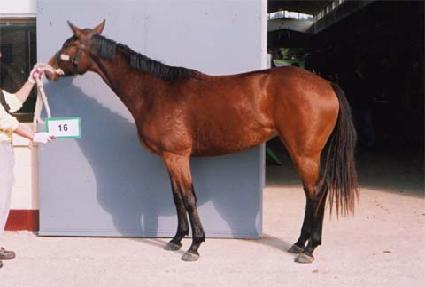 õ���� ����