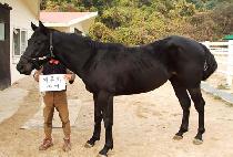 ž��� (TOP VALUE) ����