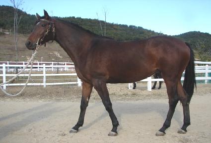 õ������ ����