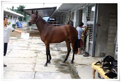 Ƽ�� ����