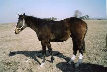 ��� (GI RA SEONG) ����