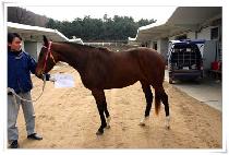 �ҷ��� (FAN LETTER) ����