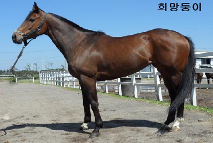 ������� ����