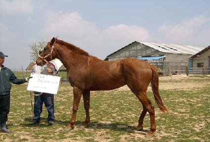 �����̽� ����