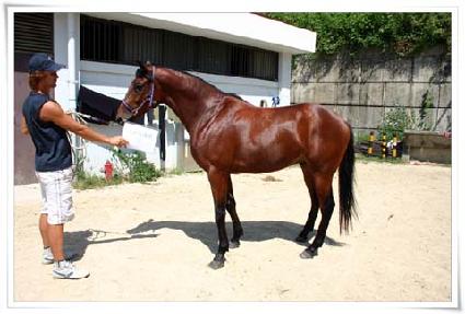 ����Ʈ���� ����