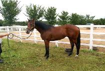 û��ٶ� (CHEONGUNBARAM) ����