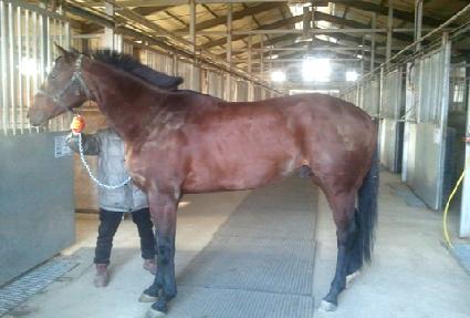 �µ��� ����