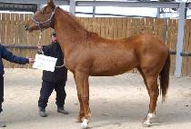 ����ǲ� (NONGBUUIKKUM) ����