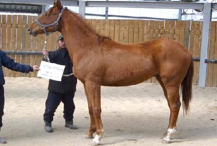 ����ǲ� ����