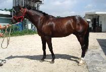 �ų��¼��� (SINNAEUN SESANG) ����